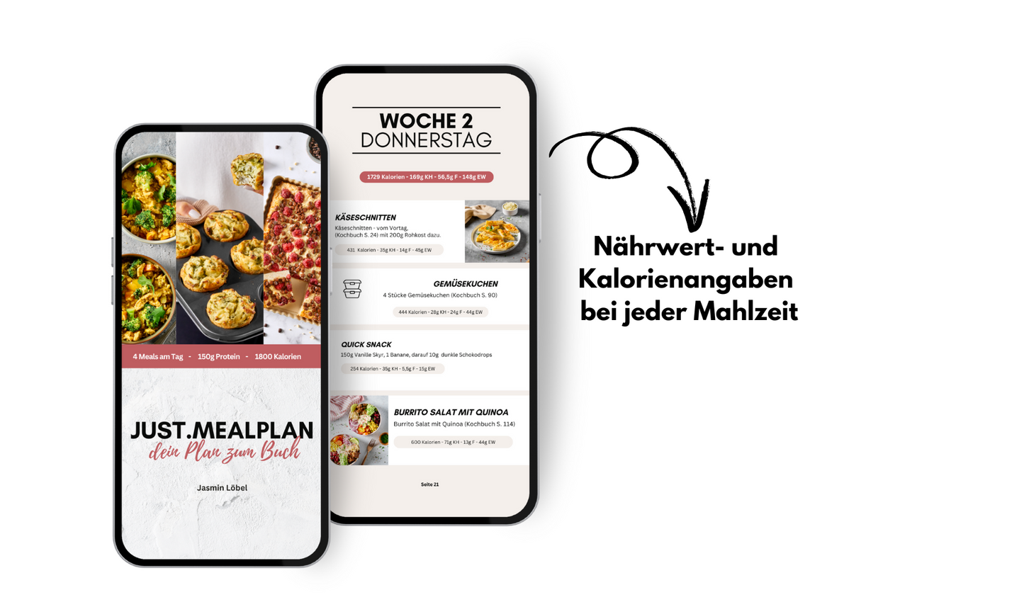Just.mealplan - dein Abnehmplan zum Buch