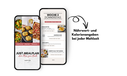 Just.mealplan - dein Abnehmplan zum Buch